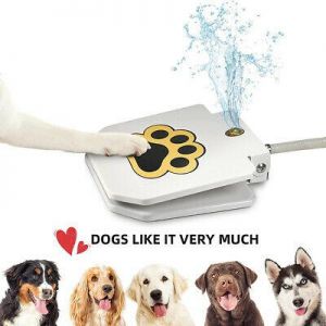 AliShopping  Animals Outdoor Dog Pet Water Fountain Step On Brass Valve Dispenser System Clean Fresh